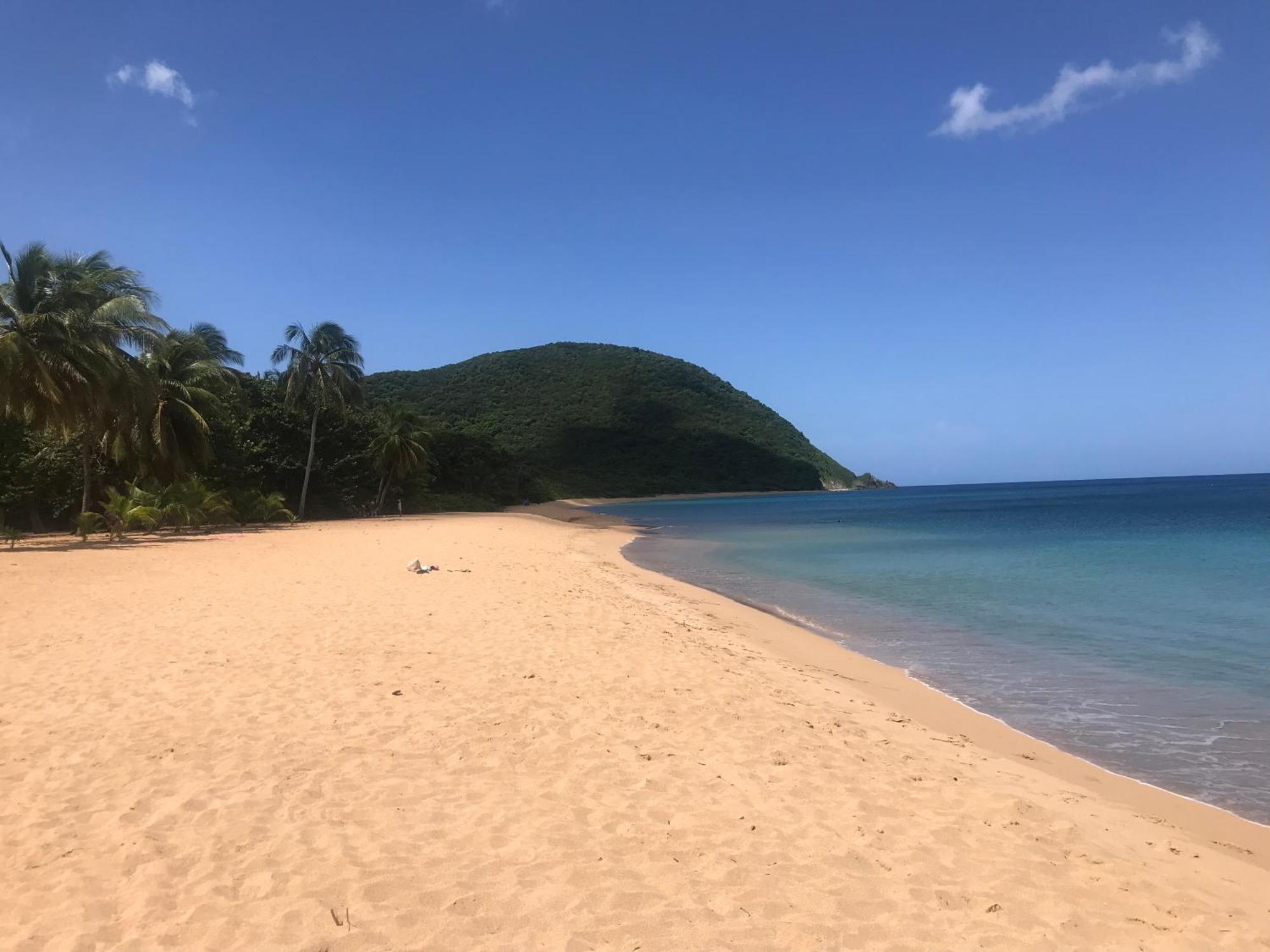 Villa Coco Caraibes Деше Экстерьер фото
