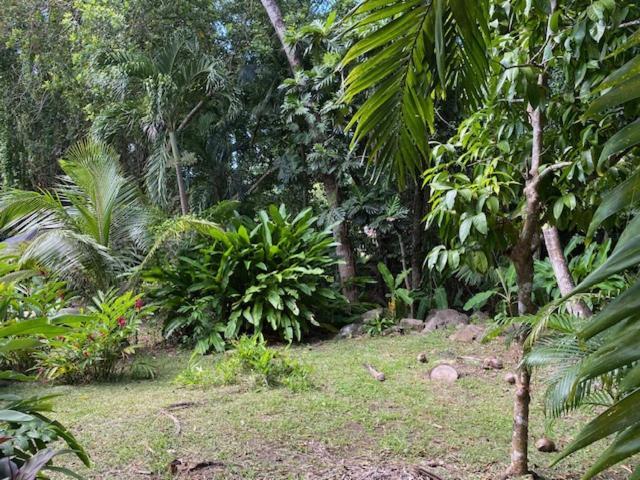 Villa Coco Caraibes Деше Экстерьер фото