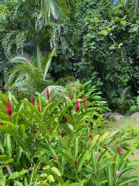 Villa Coco Caraibes Деше Экстерьер фото