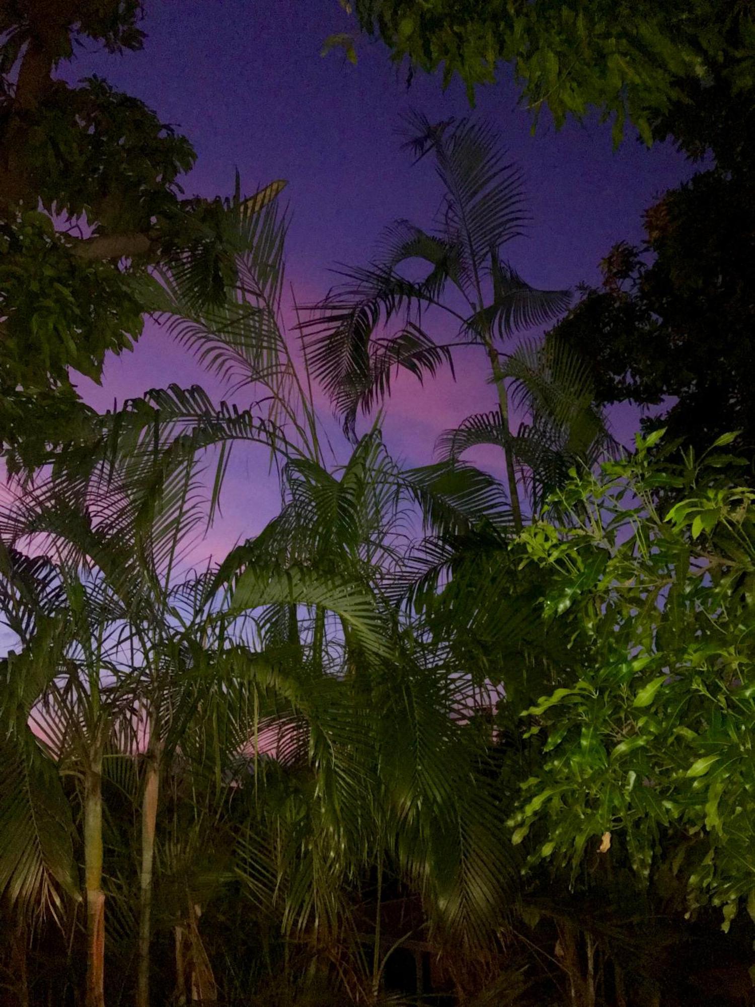 Villa Coco Caraibes Деше Экстерьер фото