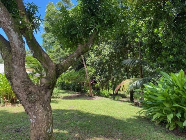 Villa Coco Caraibes Деше Экстерьер фото