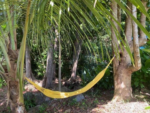Villa Coco Caraibes Деше Экстерьер фото