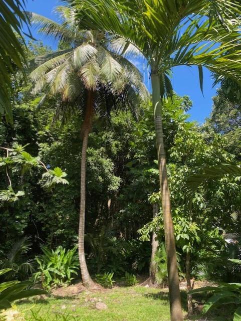 Villa Coco Caraibes Деше Экстерьер фото
