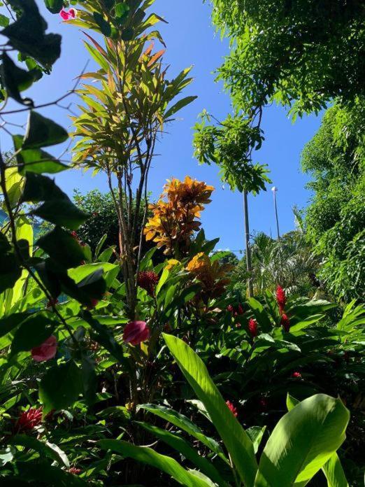 Villa Coco Caraibes Деше Экстерьер фото